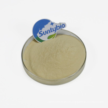 ISO Factory Animal Feed Additive Mejor precio Comprar Bacillus Subtilis